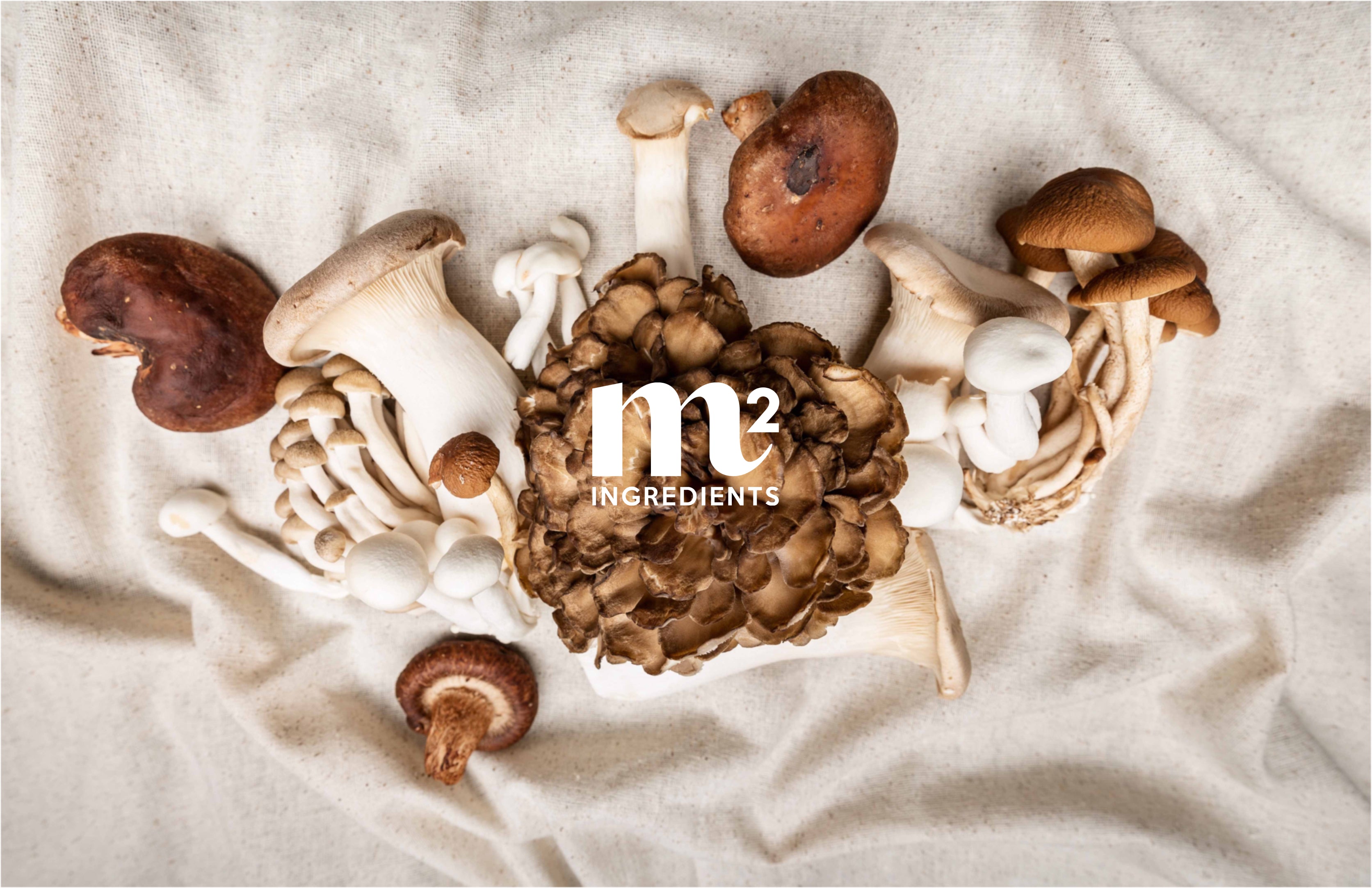 M2 Ingredients Collaboration — organic mushroom farming partnership